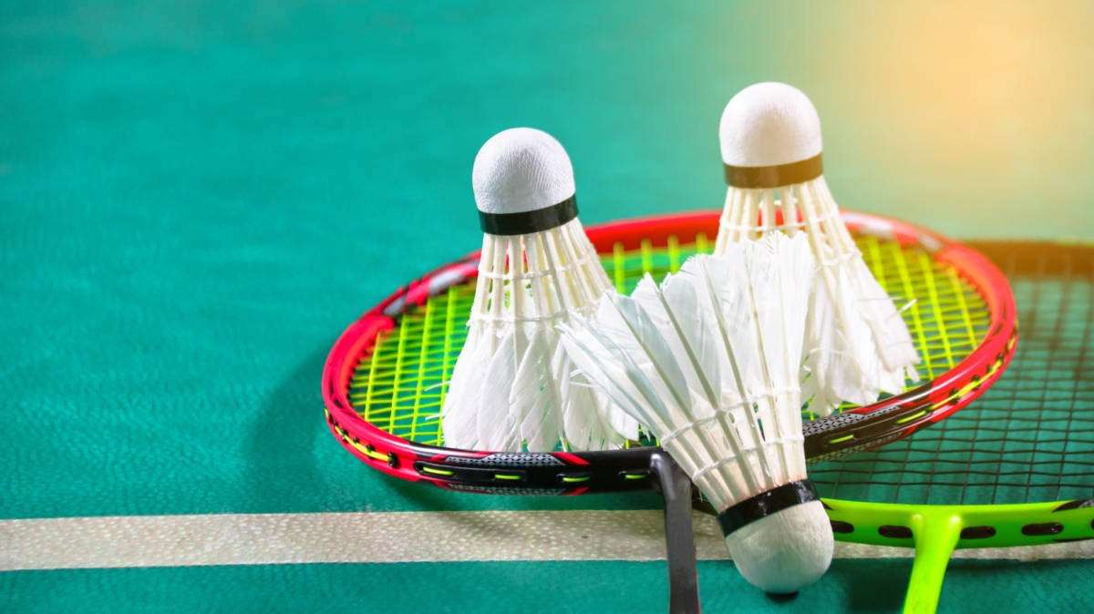 未来将更加 未来将更加