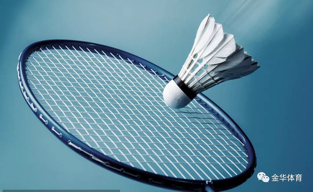 专业指导与 专业指导与