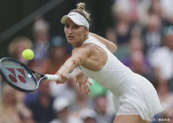 专业精神的 专业精神的