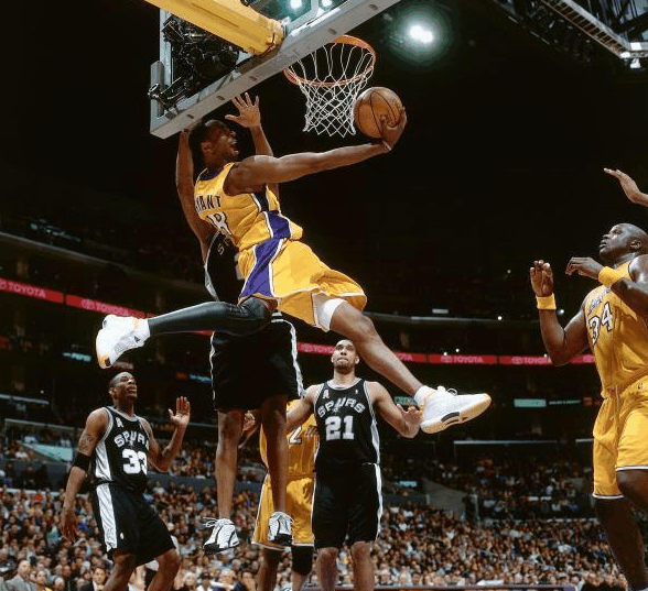 自己丰富的 自己丰富的