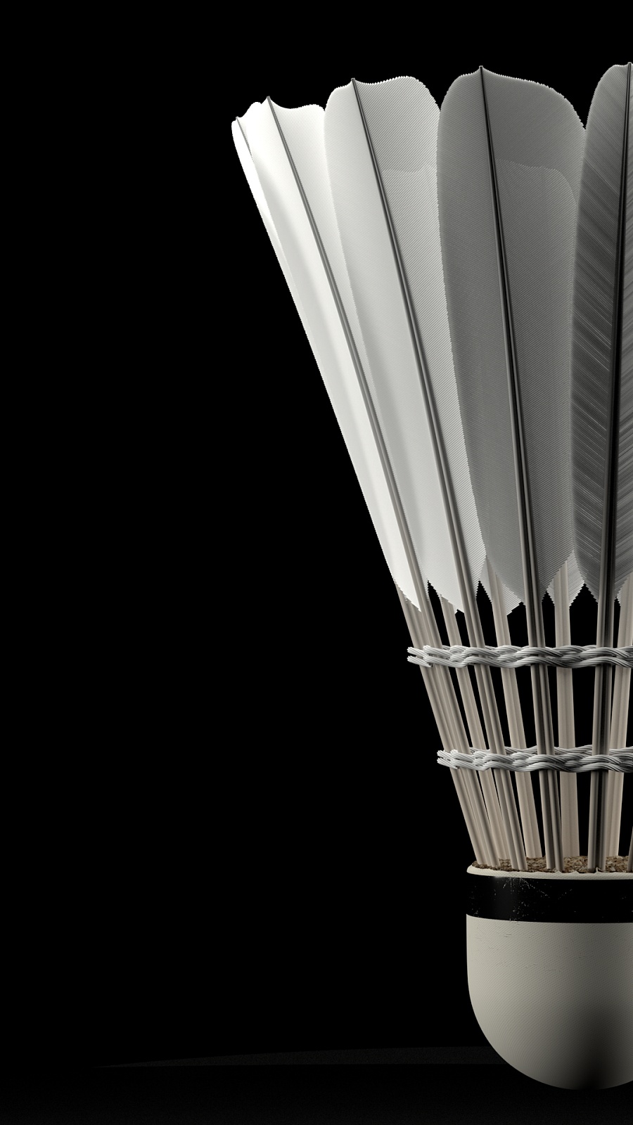 森林狼已经 森林狼已经