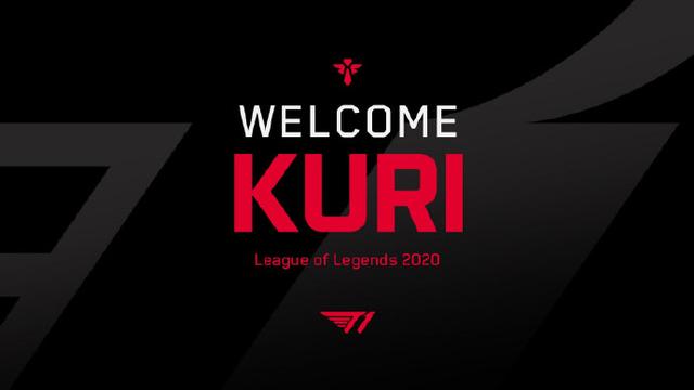 让他在组织 让他在组织